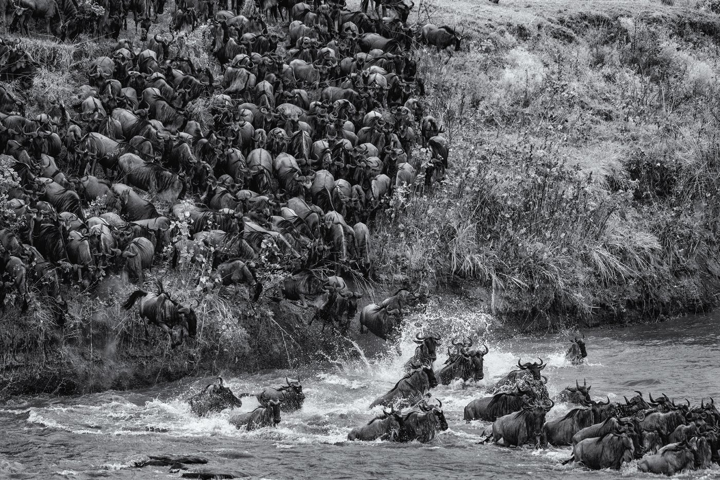 Tanzania — the Serengeti at golden hour