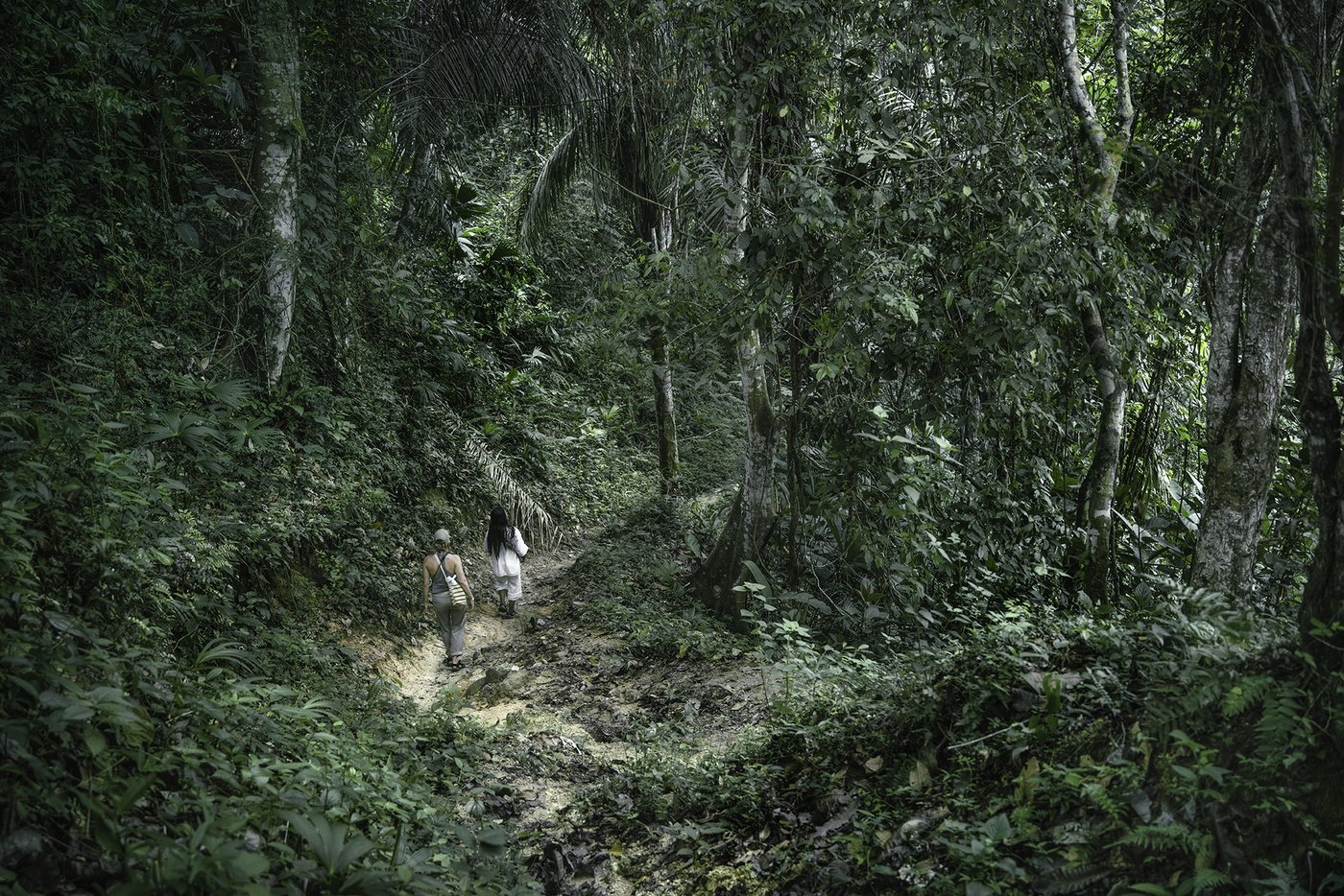 A small airstrip in the wilderness